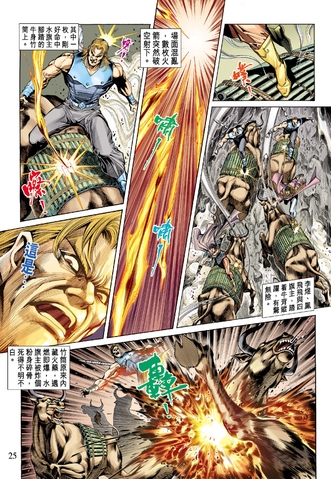 第 25 页