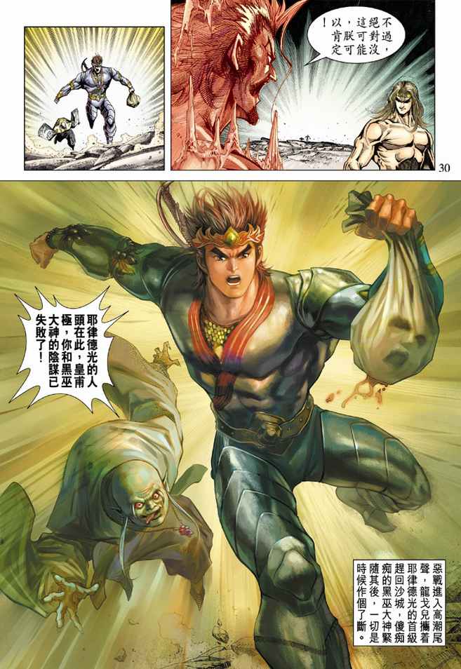 第 30 页
