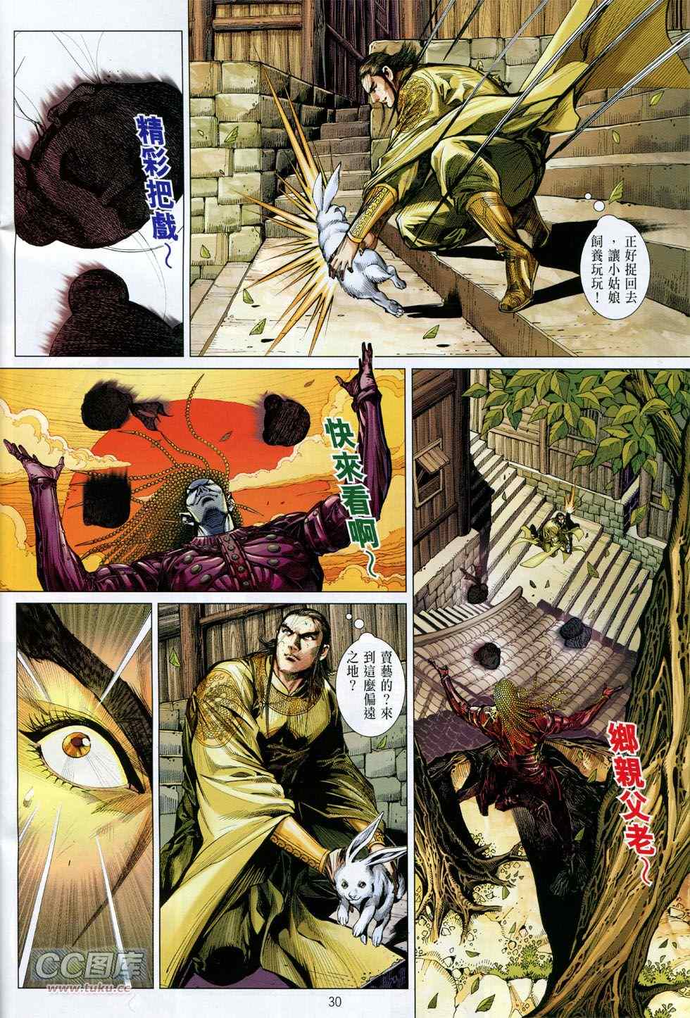 第 30 页