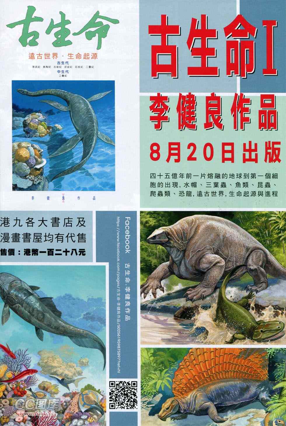 第 34 页