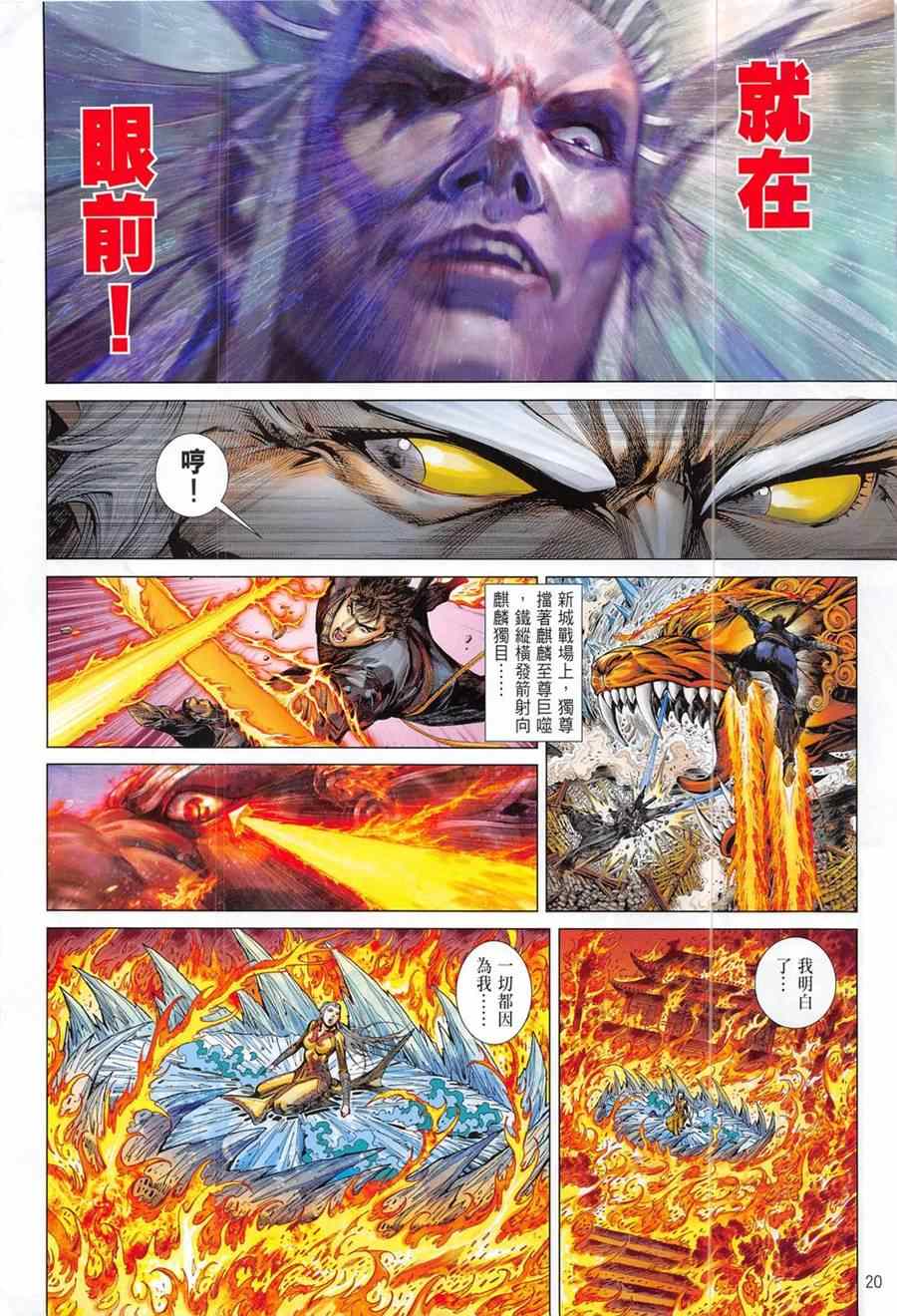第 20 页