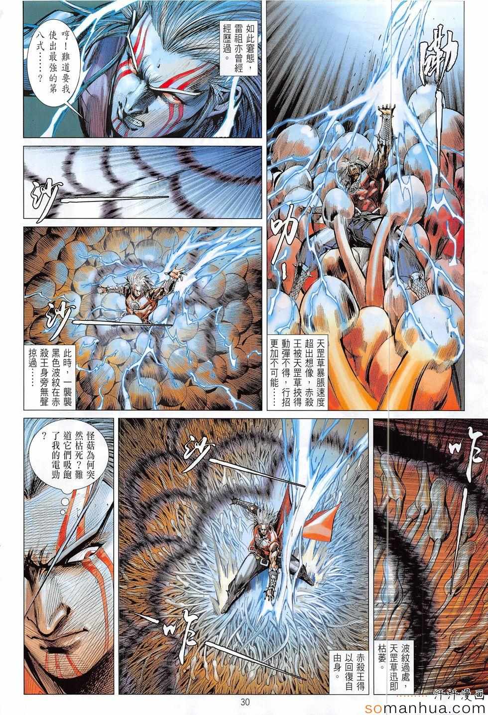 第 30 页