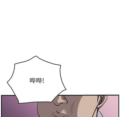 第 106 页