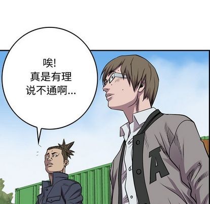 第 113 页