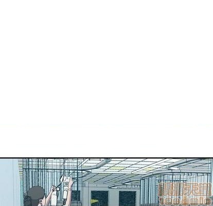第 95 页