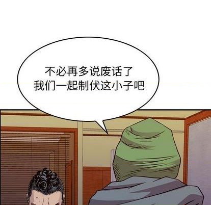 第 48 页