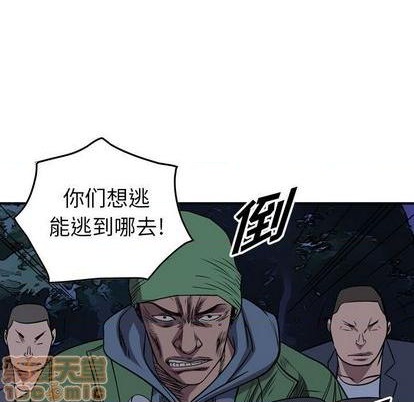 第 55 页