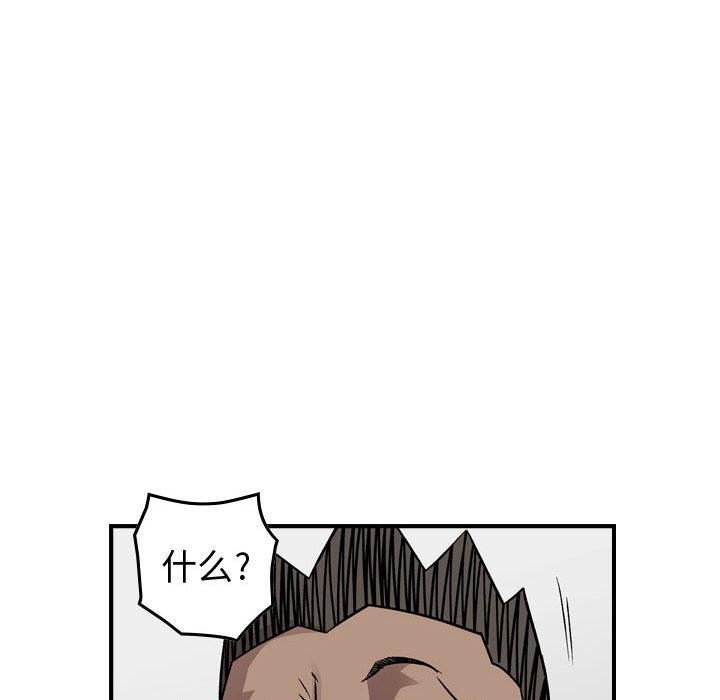 第 113 页