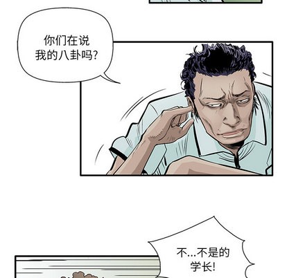 第 41 页