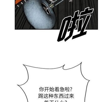 第 81 页