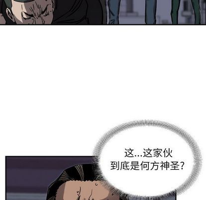 第 96 页