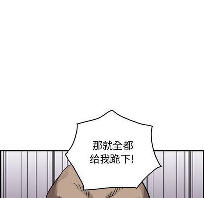 第 97 页