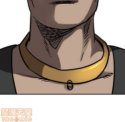 第 110 页