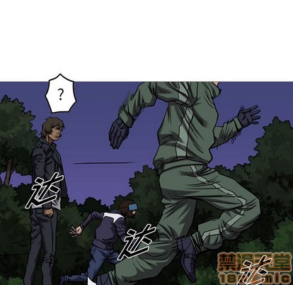 第 55 页