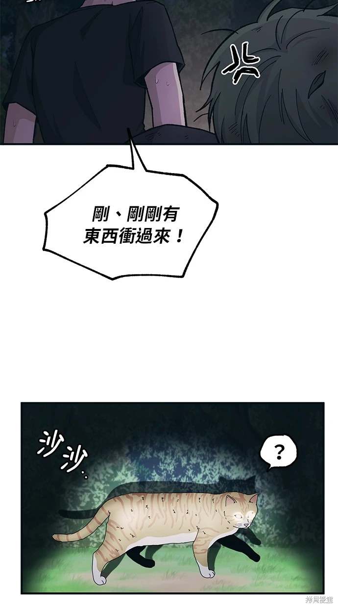 第 47 页