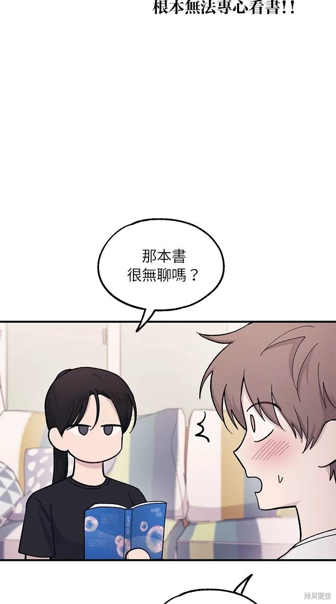 第 41 页