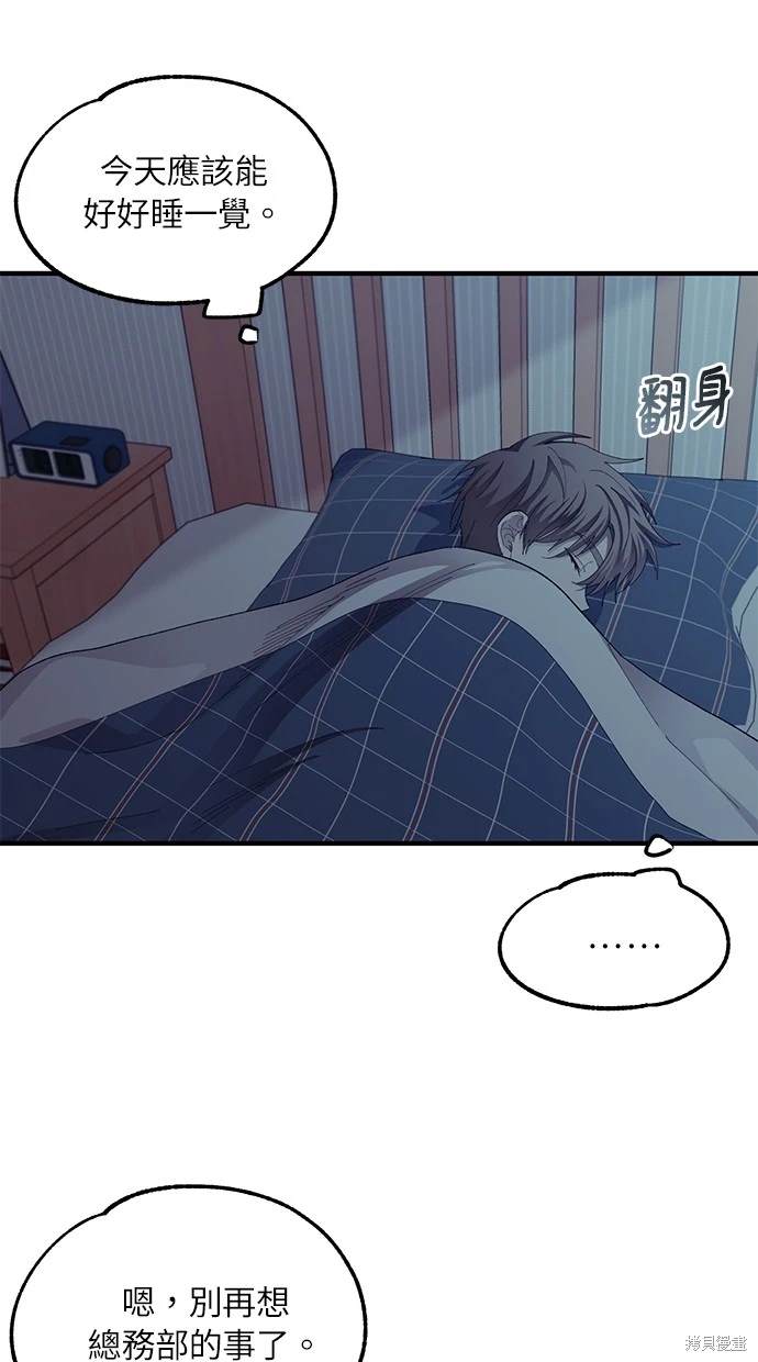 第 41 页