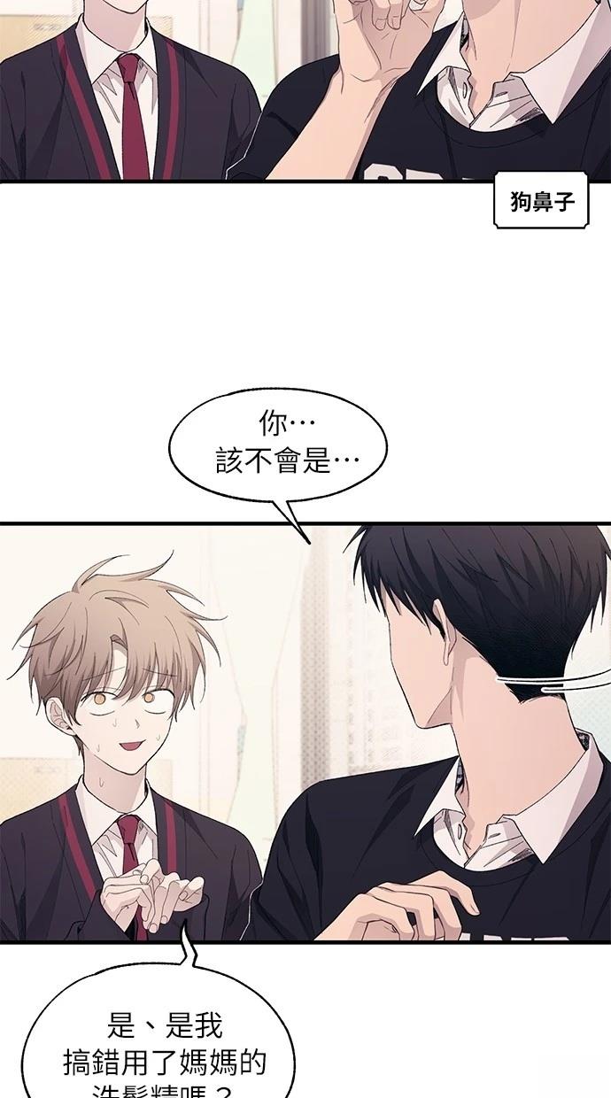 第 41 页