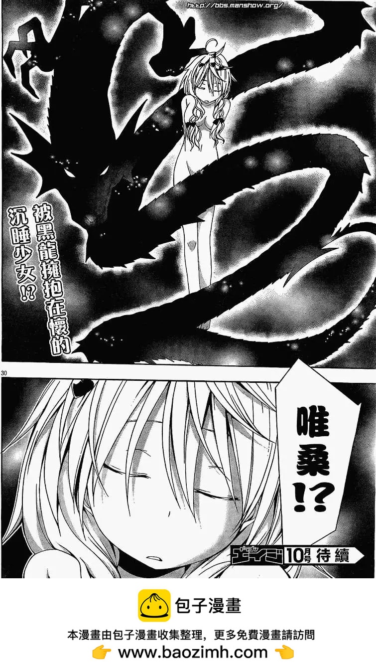 第 30 页
