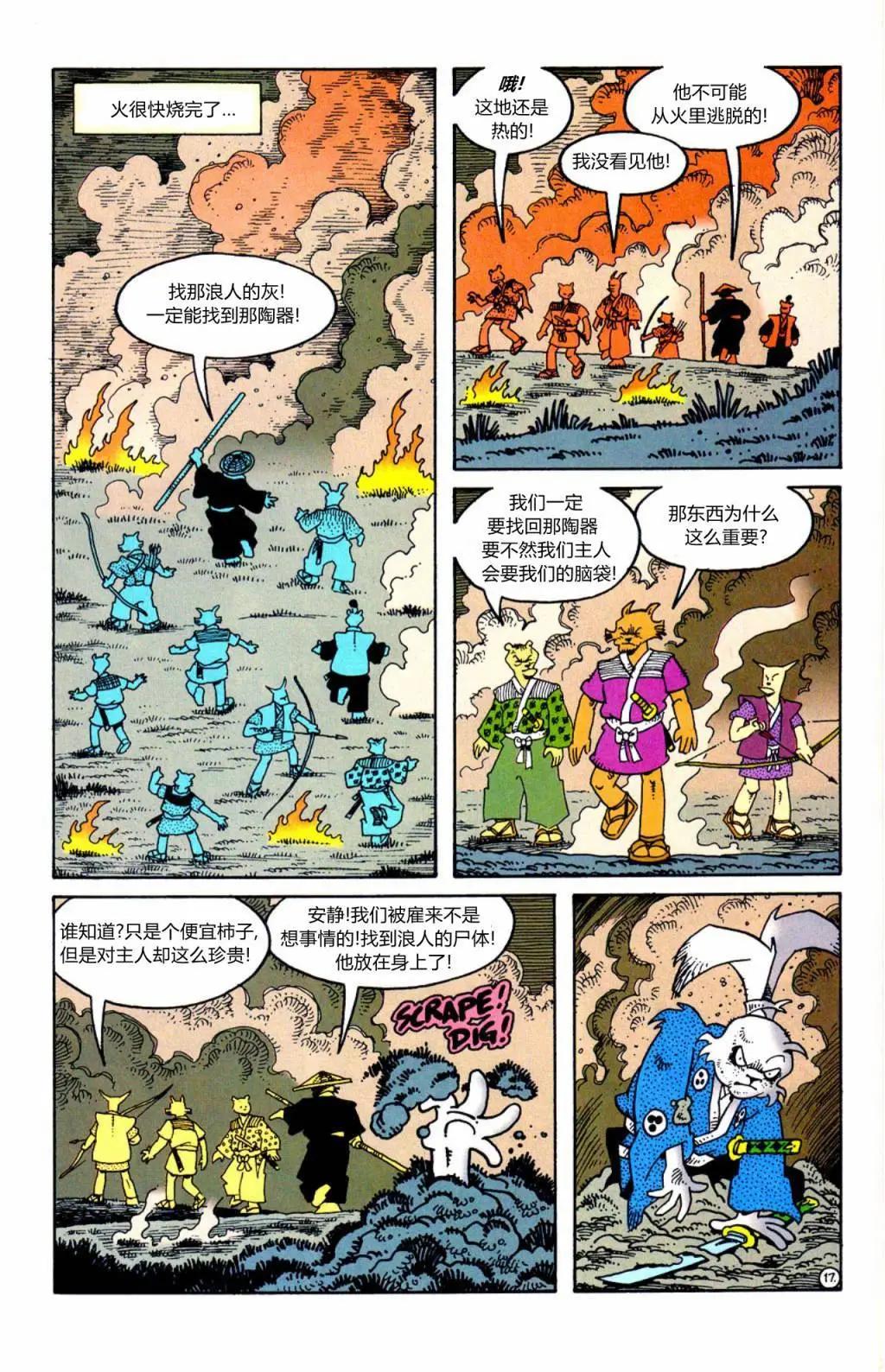 第 17 页