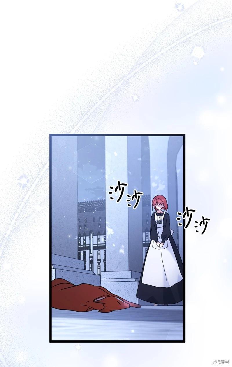 第 75 页