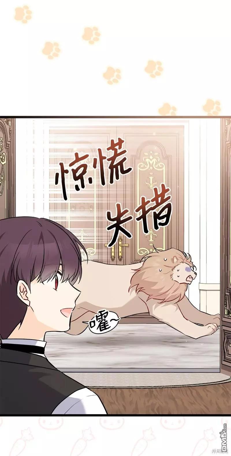 第 48 页