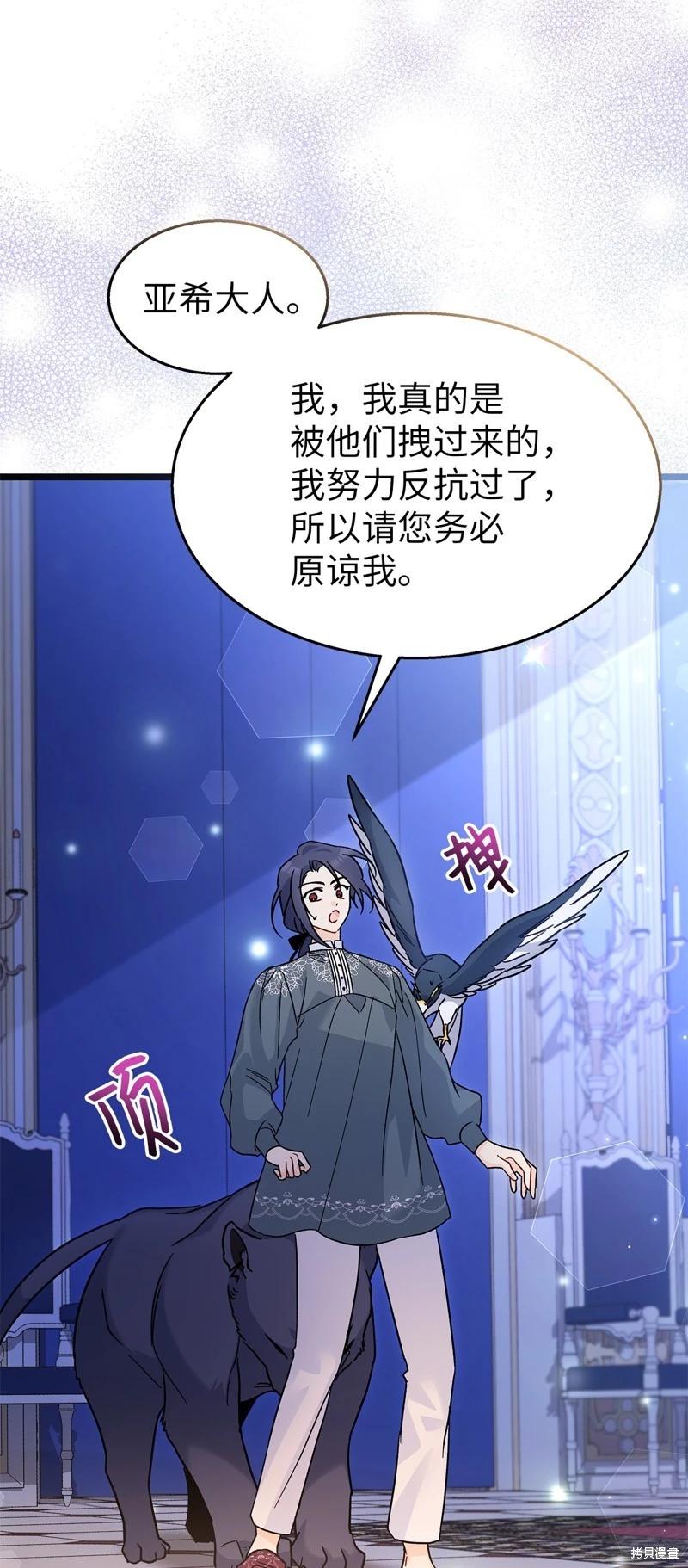 第 61 页