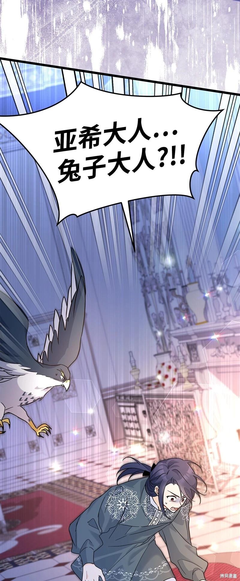 第 66 页
