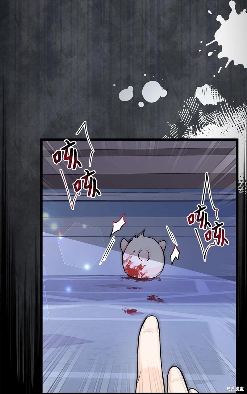 第 55 页