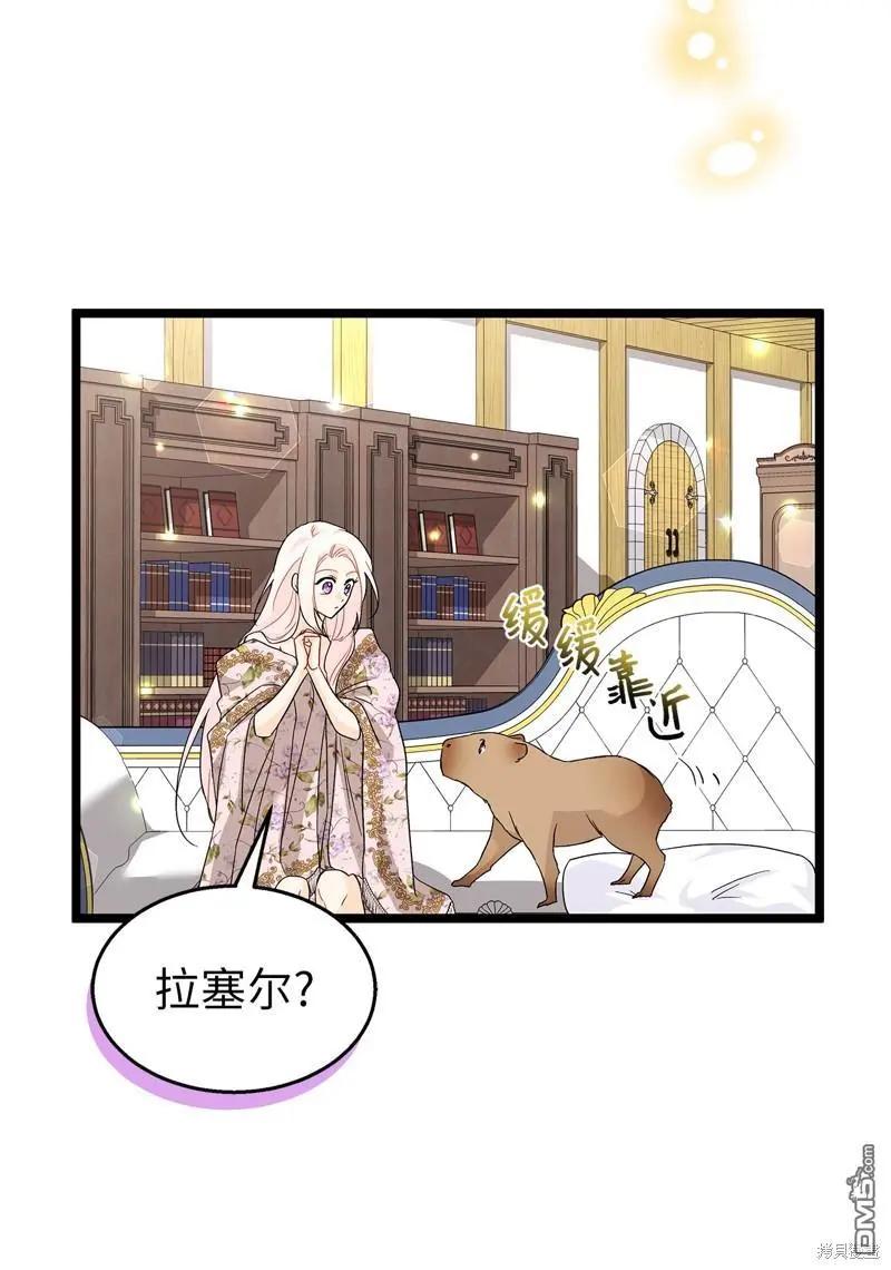 第 45 页