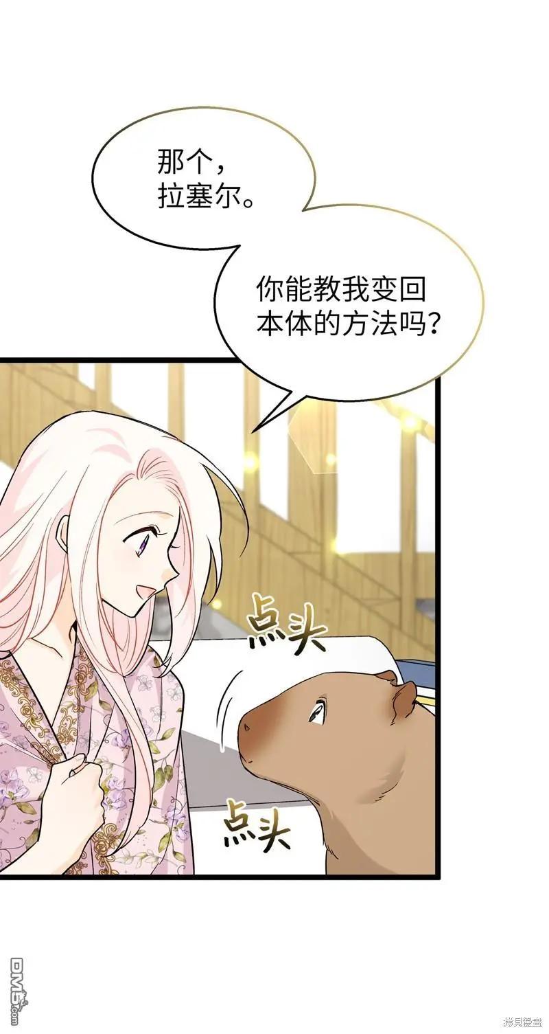 第 47 页