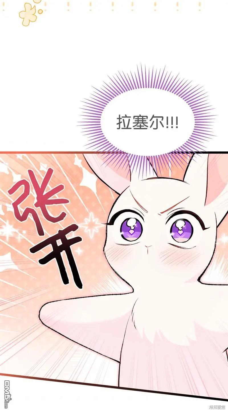 第 74 页