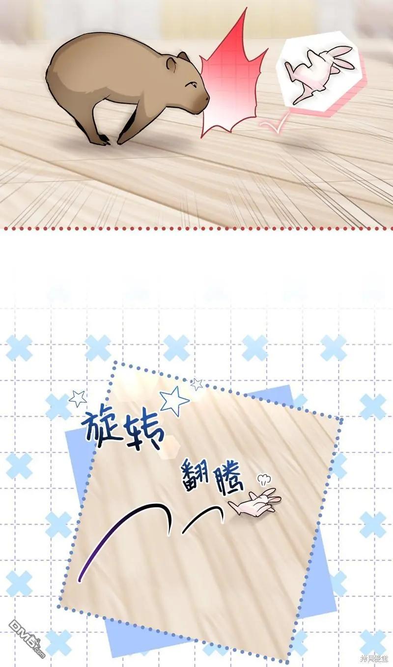第 82 页