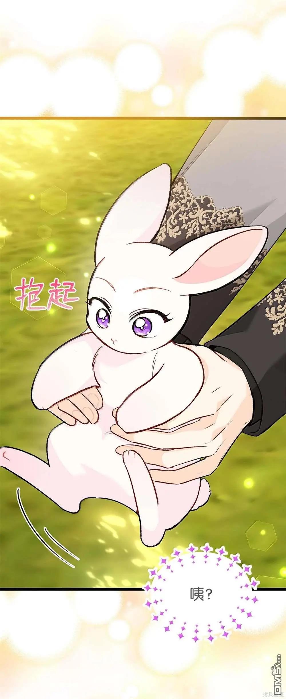 第 75 页