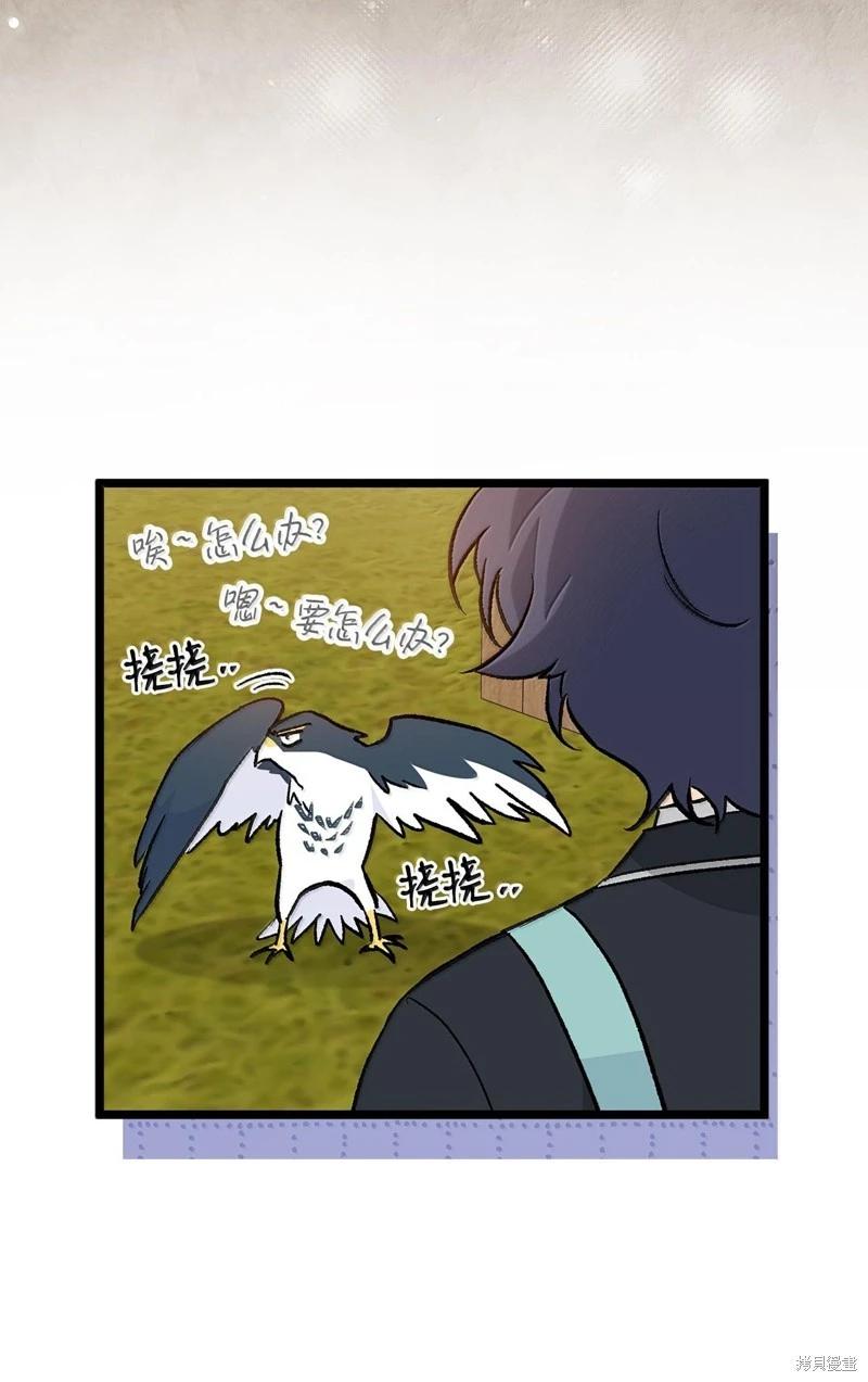 第 60 页