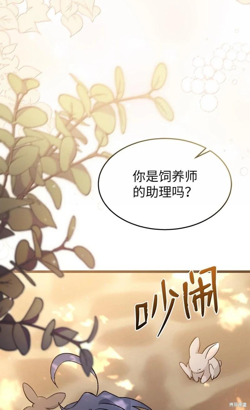 第 81 页