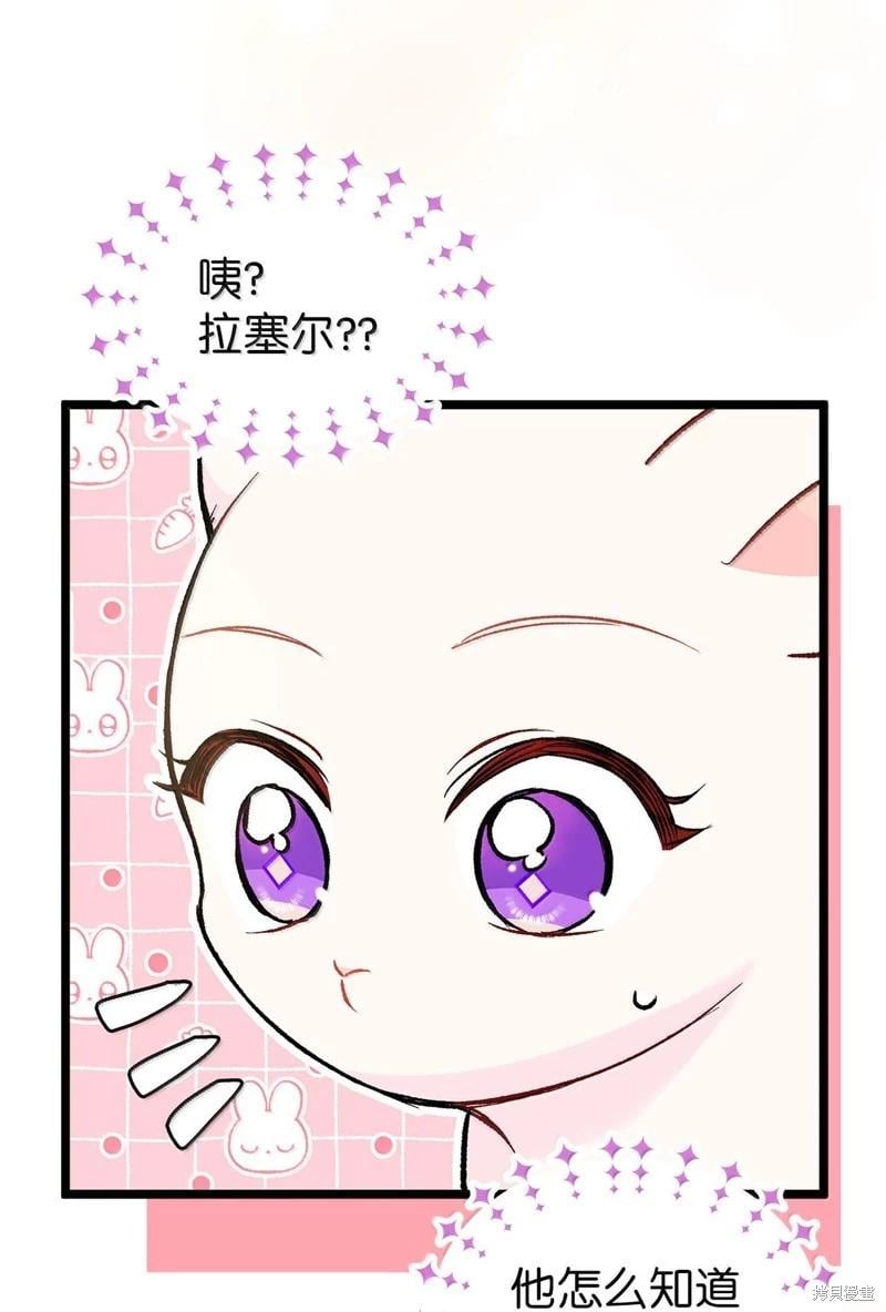 第 83 页
