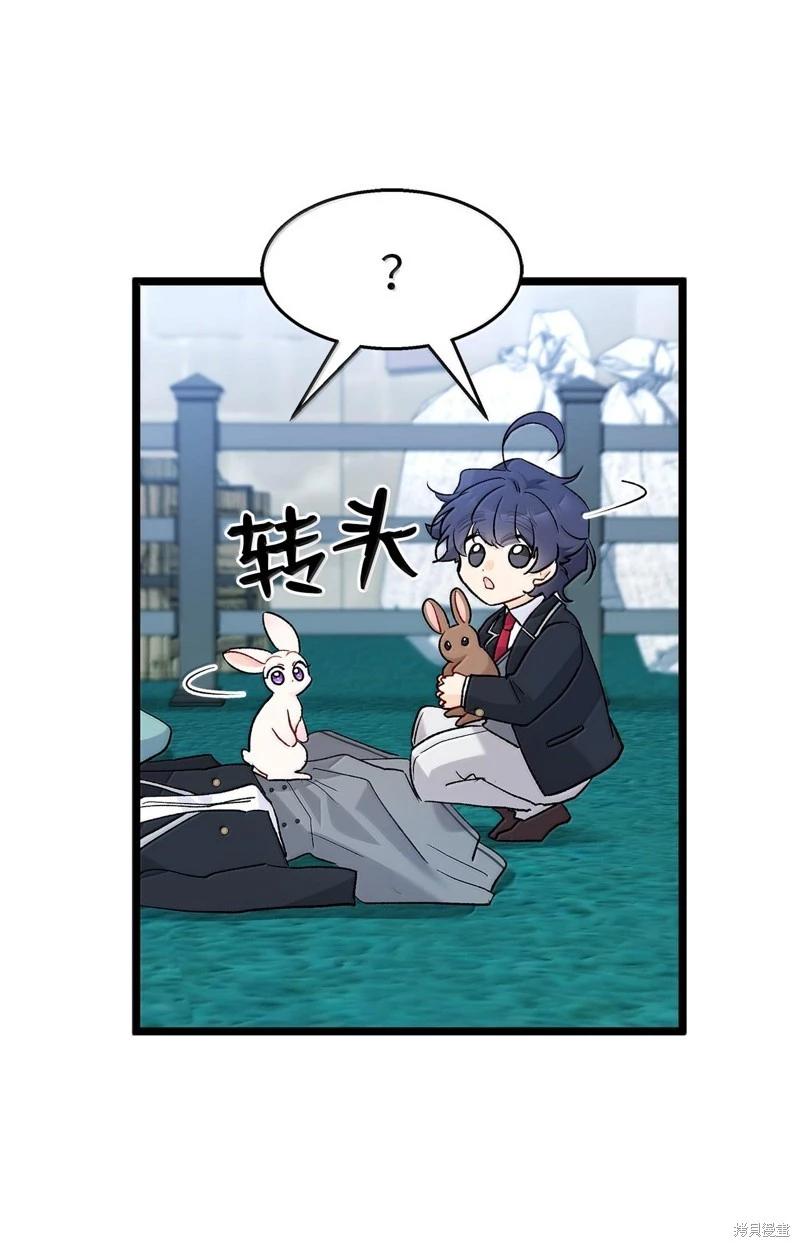 第 51 页