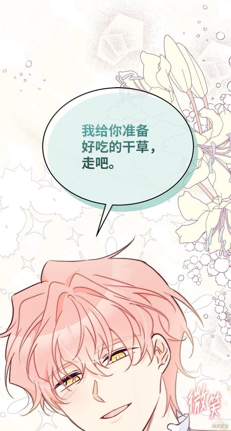 第 91 页
