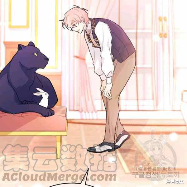 第 113 页