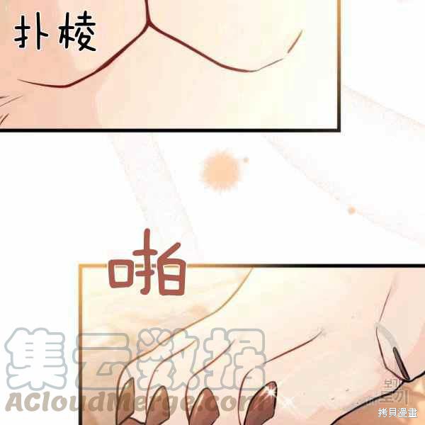 第 81 页