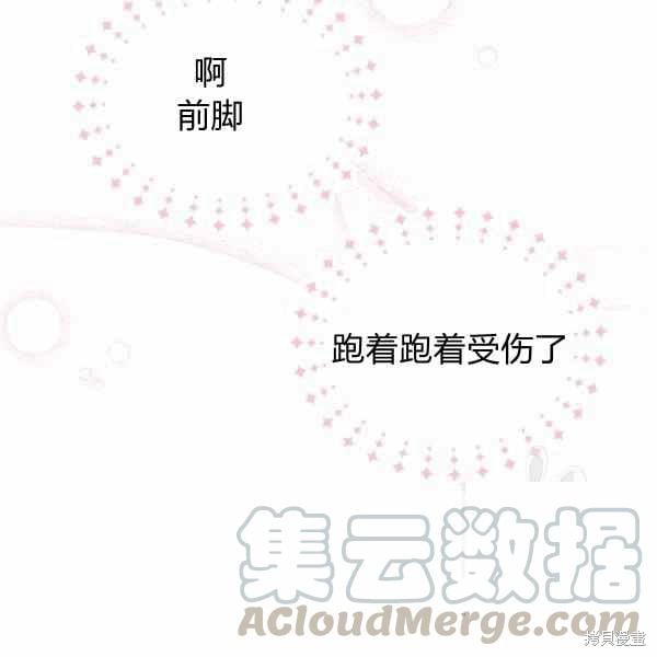 第 113 页