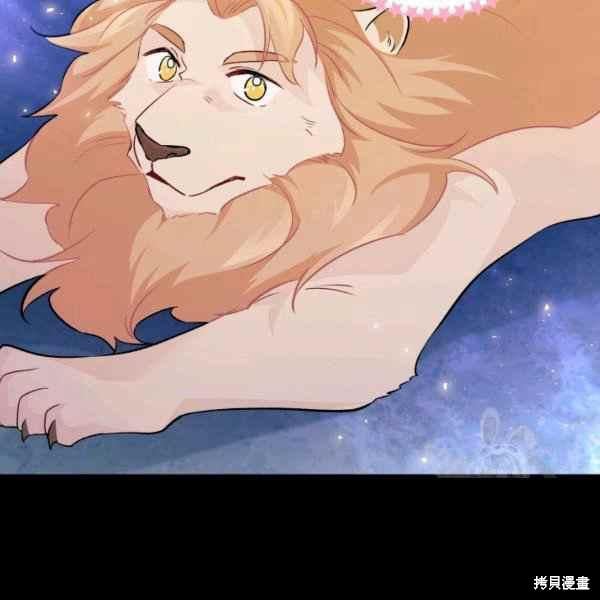 第 146 页