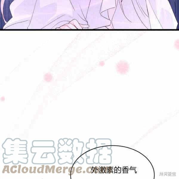 第 113 页