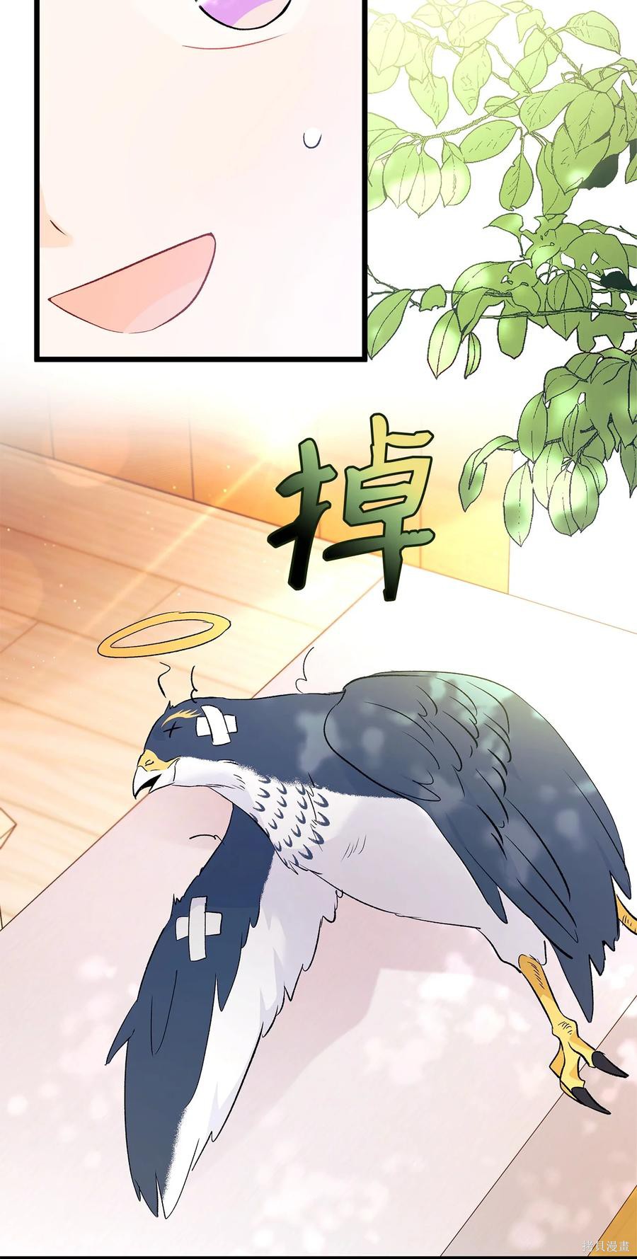 第 61 页