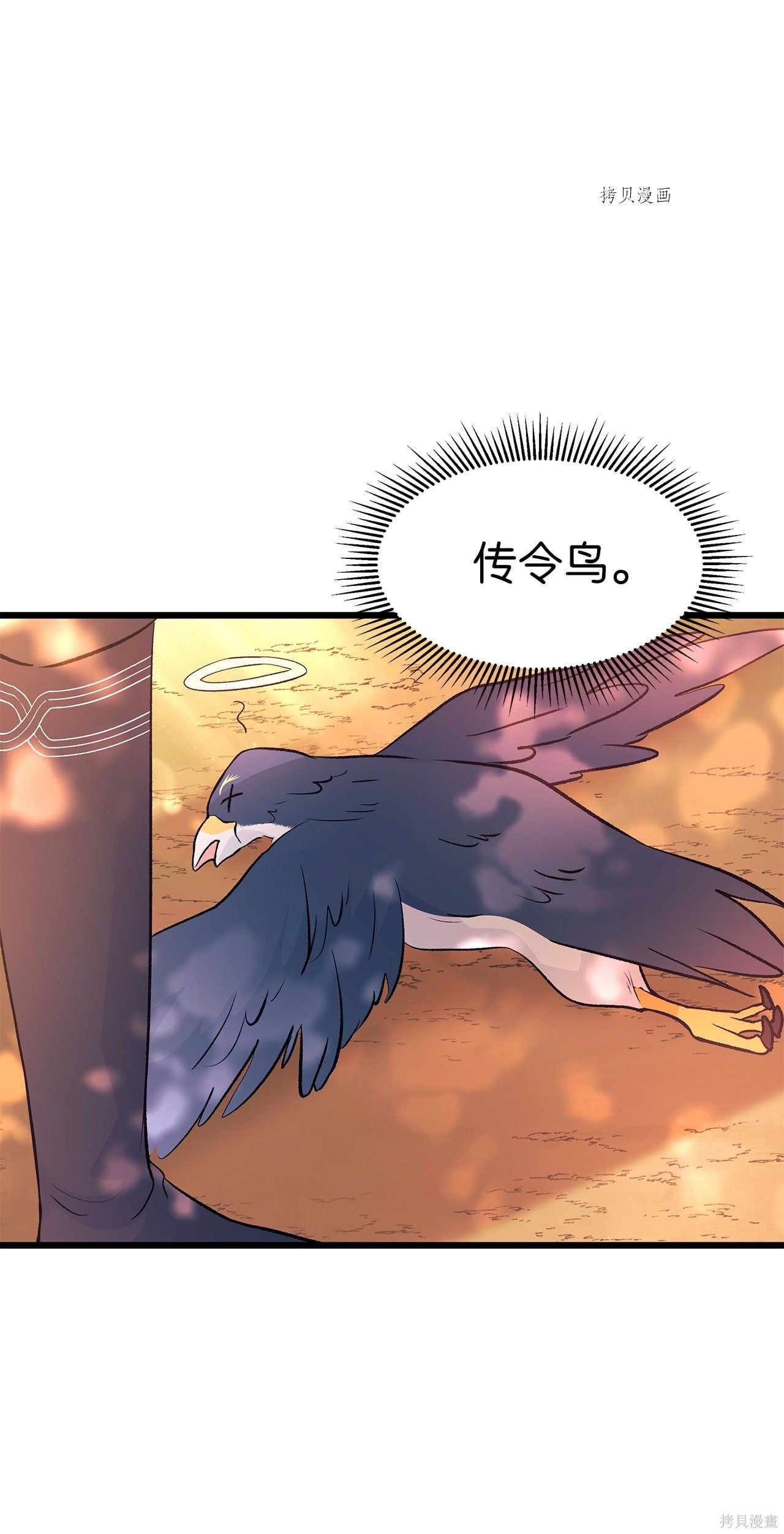 第 35 页
