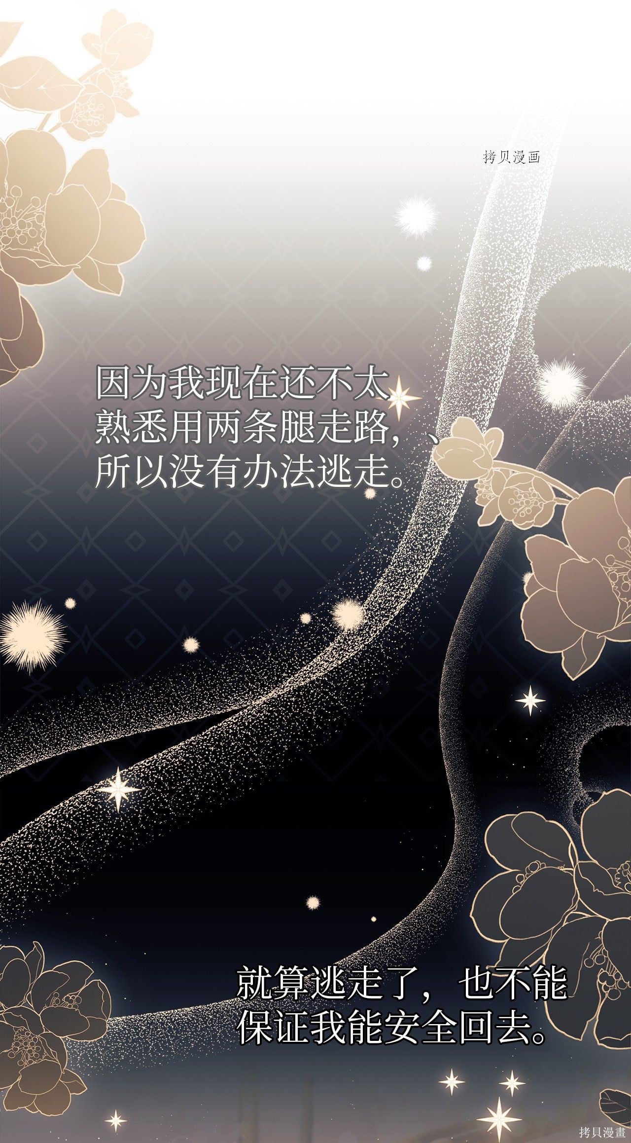 第 63 页