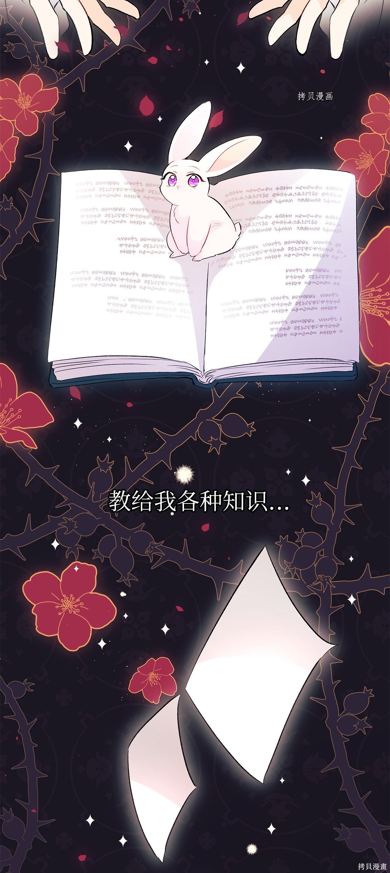 第 88 页