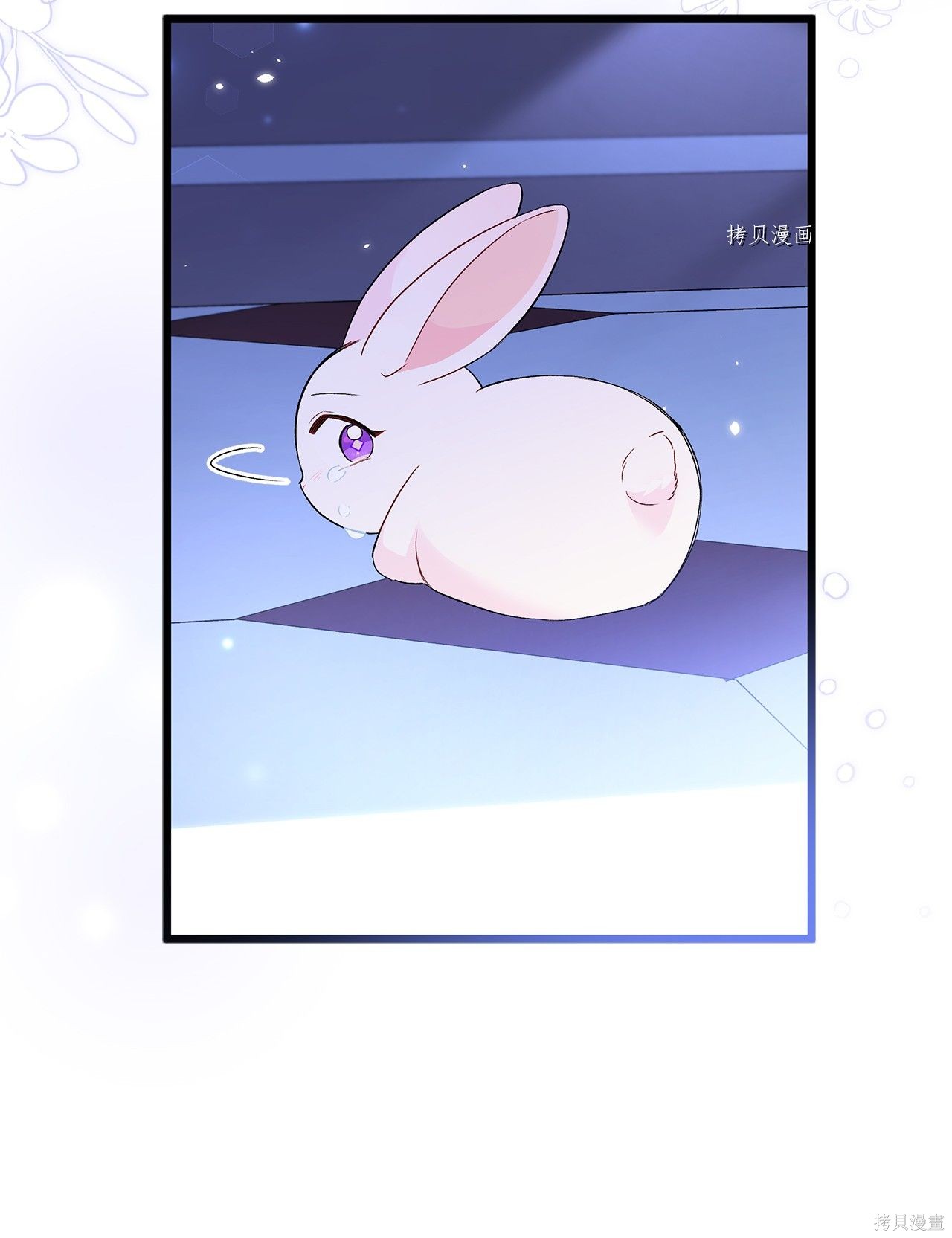 第 51 页