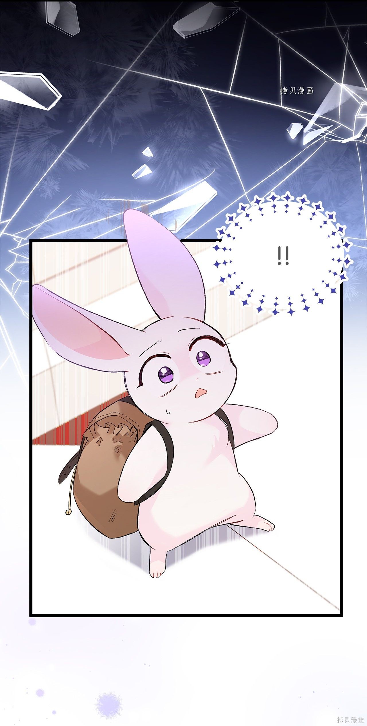 第 48 页